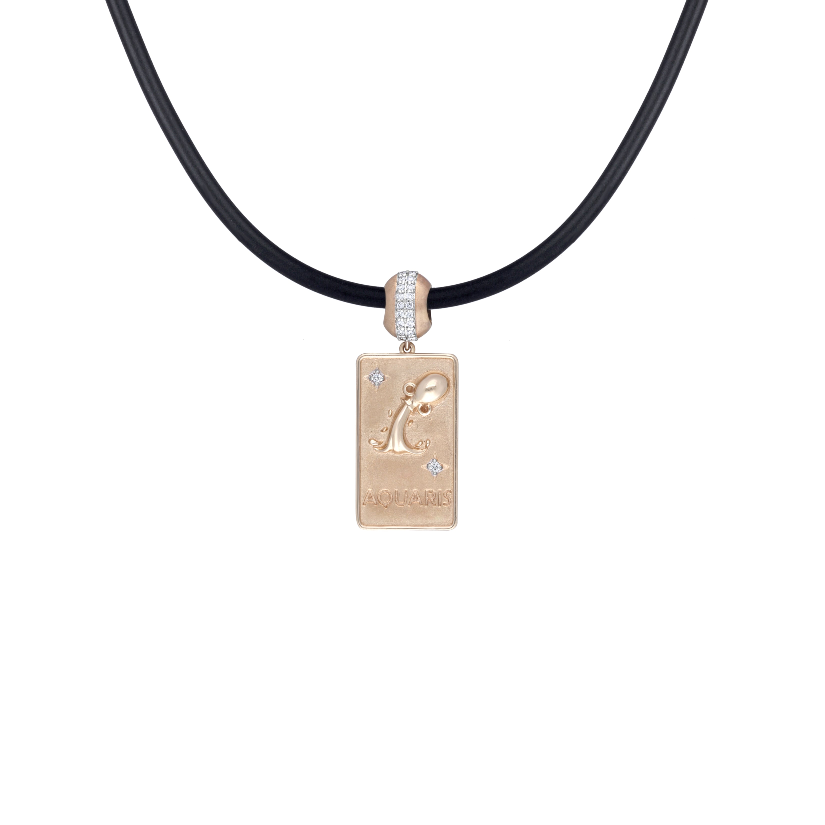 Zodiac Leather Pendant