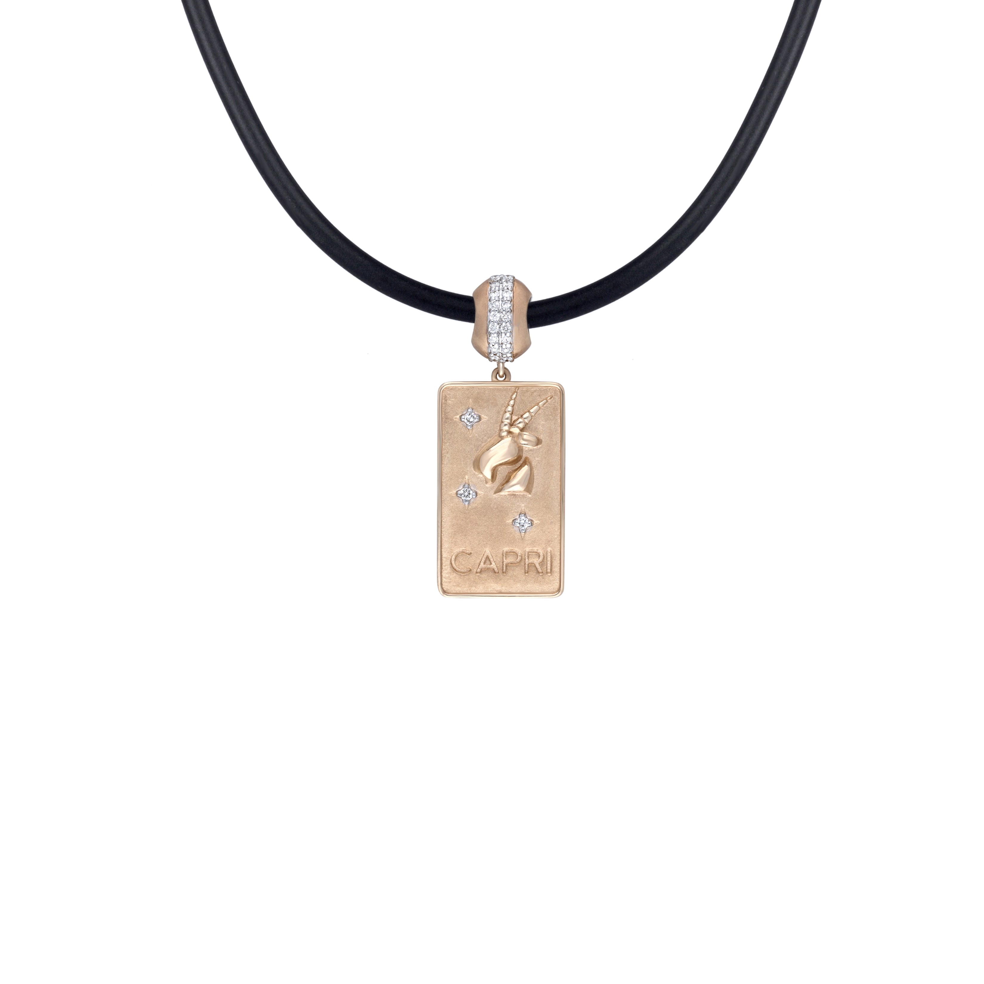 Zodiac Leather Pendant