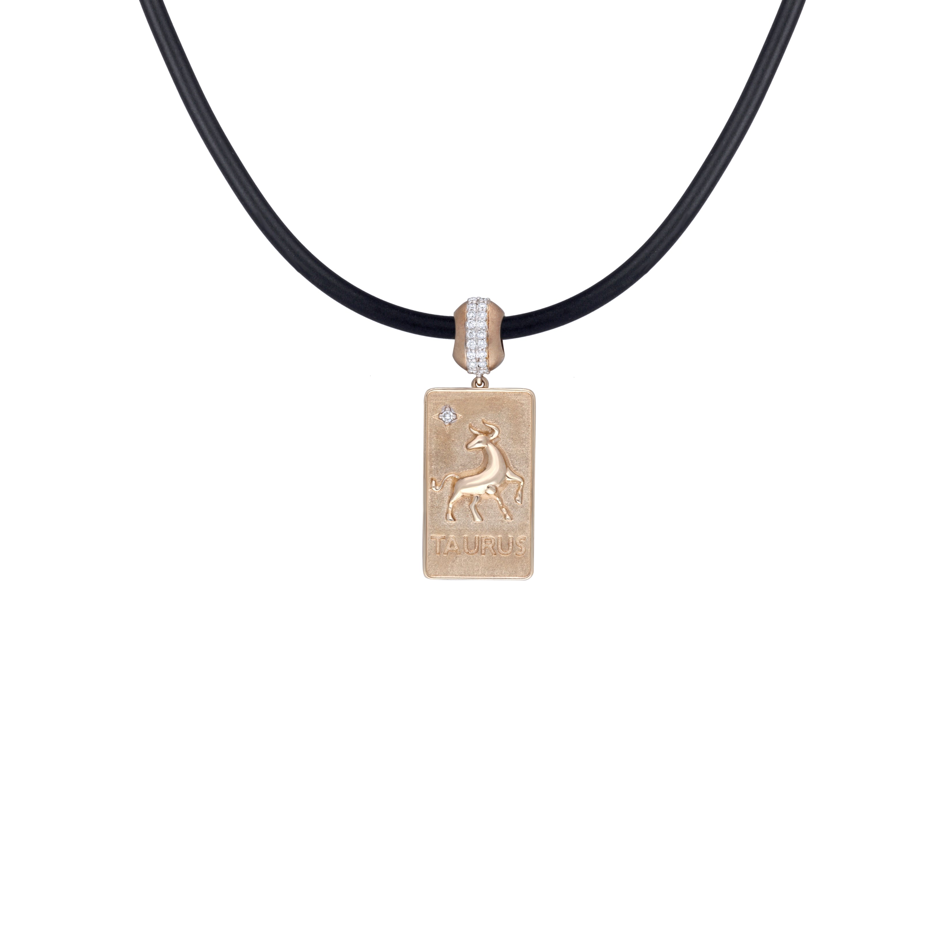 Zodiac Leather Pendant